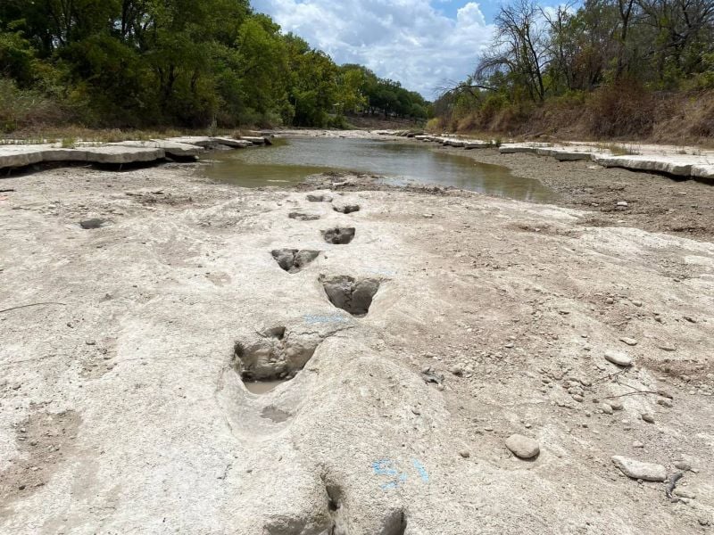 La sécheresse laisse apparaître des traces de dinosaures dans le lit d'une rivière texane