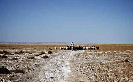 Manifestation contre le manque d'eau potable dans l'ouest de l'Iran