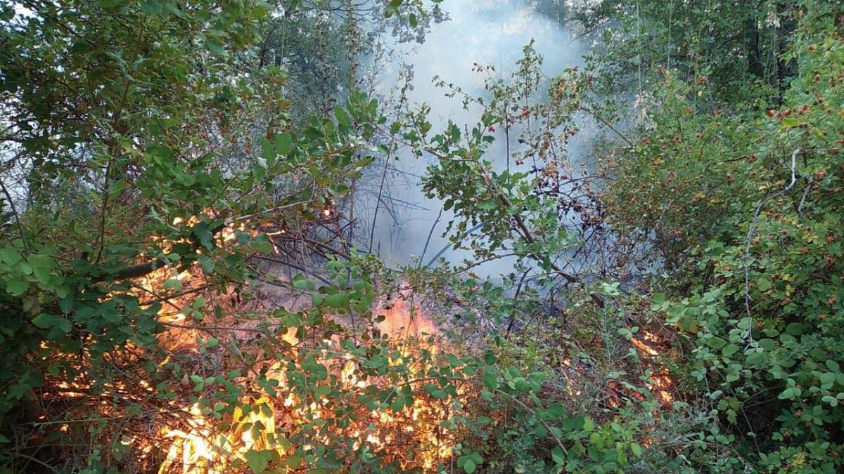 Un week-end sous le signe des incendies à Baskinta Un week-end sous le signe des incendies à Baskinta