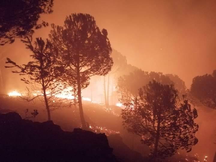Fire continues to rage in Baskinta pine forest Fire continues to rage in Baskinta pine forest