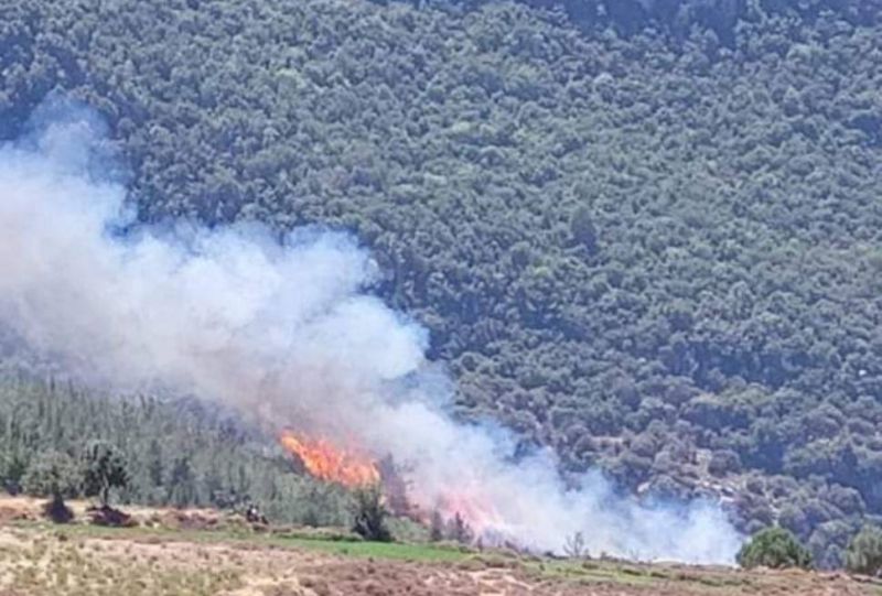 L'incendie dans une forêt du Akkar se propage rapidement