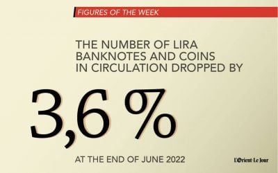 Total number of lira notes and coins fell by 3.6 percent at the end of June