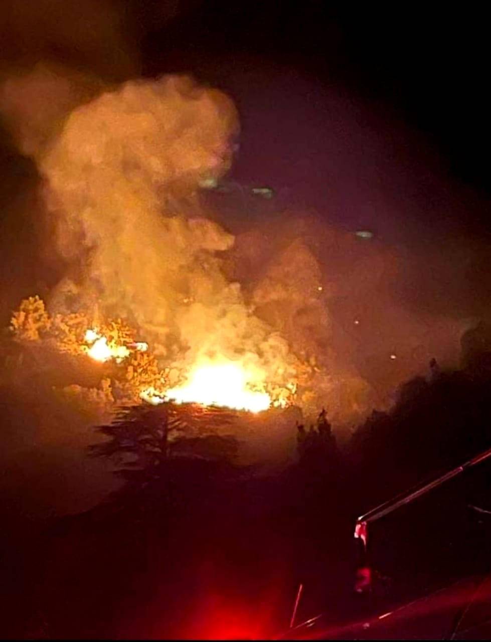 Fire that erupted overnight in Tannourine Cedar Reserve under control, investigation opened Fire that erupted overnight in Tannourine Cedar Reserve under control, investigation opened