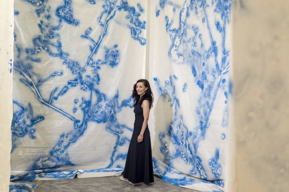 Ania Soliman, la nature à travers l’écran et l’écran à travers la nature