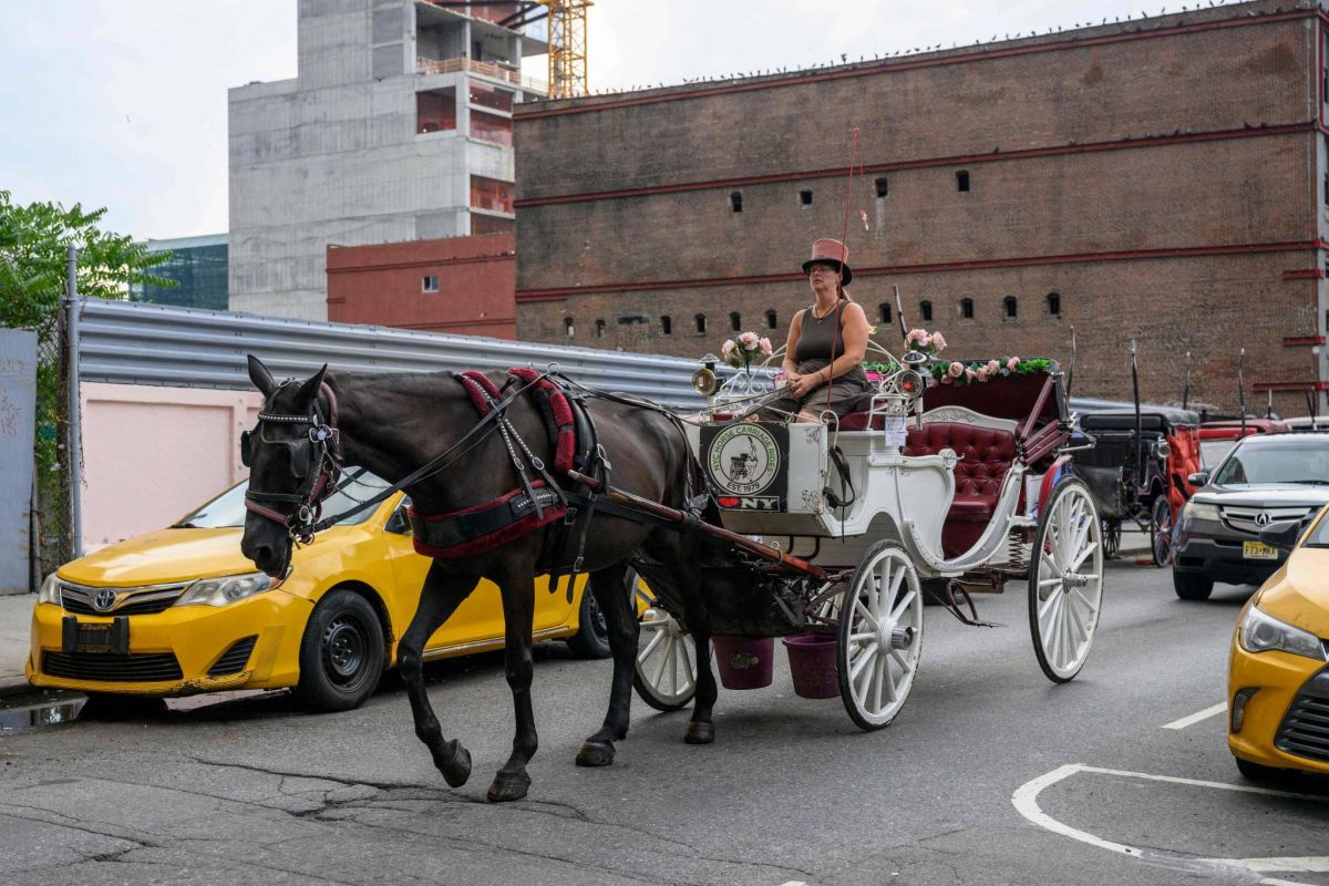 Les calèches de New York menacées de disparition