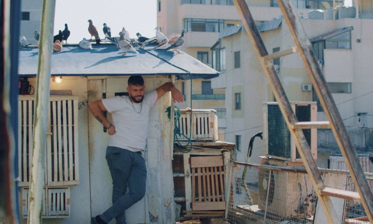 Lea Najjar et sa surprenante histoire des pigeons beyrouthins