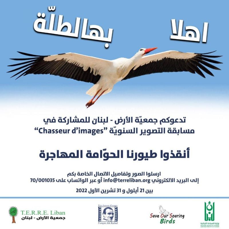 Les « chasseurs d’images » de Terre-Liban à la rescousse des oiseaux migrateurs