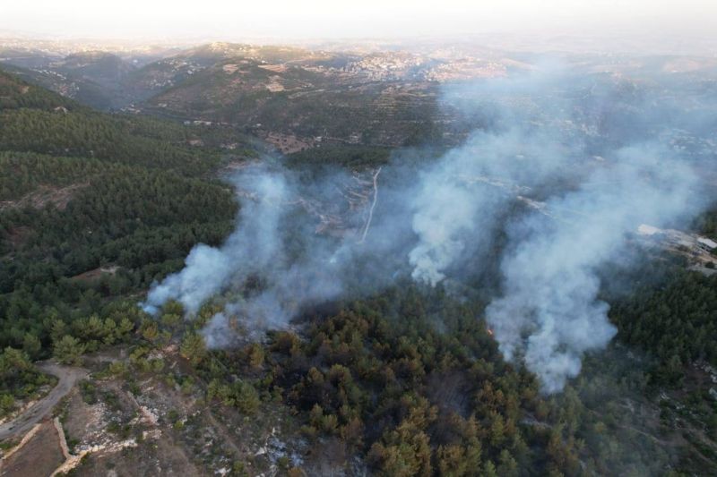 Un important feu de forêt maîtrisé au Akkar, des dégâts importants