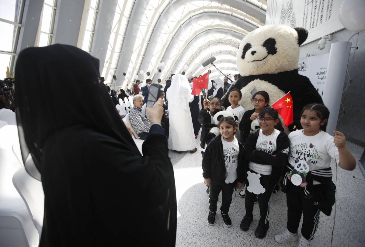Le Qatar accueille deux pandas, les premiers au Moyen-Orient