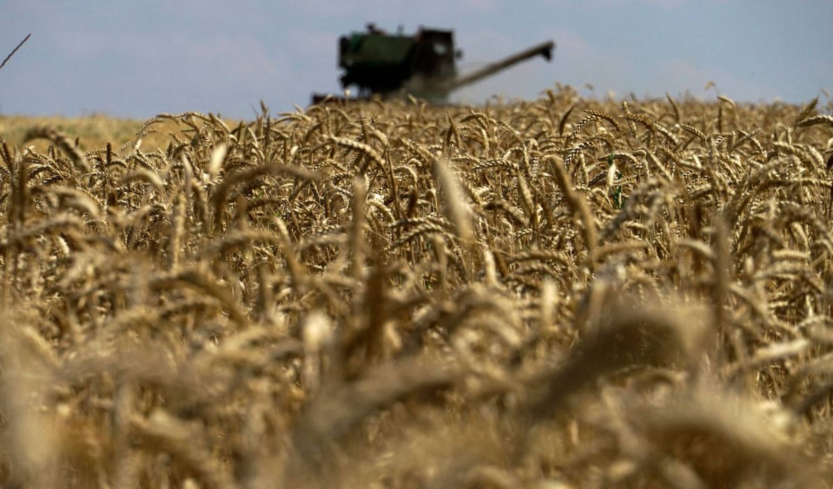 La Russie retourne à l'accord céréalier, le trafic reprend en mer Noire