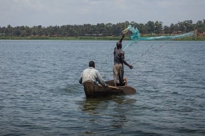 Le Nil, de l'Egypte à l'Ouganda, chronique d'un assèchement annoncé