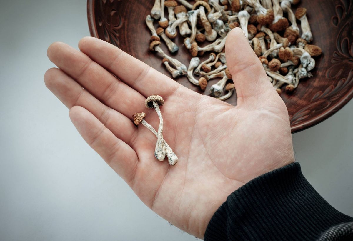 Essai clinique sur le traitement psychédélique contre la dépression