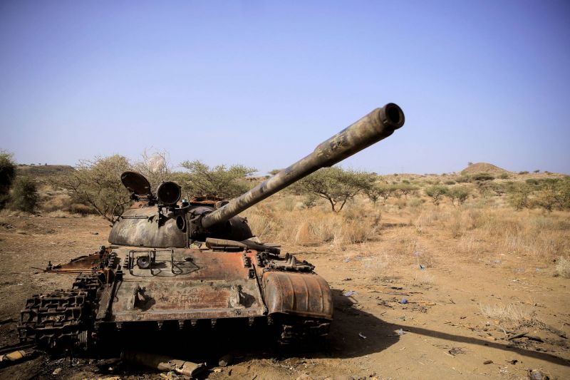 Les rebelles du Tigré ont « désengagé » 65 % de leurs combattants des lignes de front