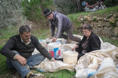 Crisis turns rural Lebanese toward traditional olive oil soapmaking