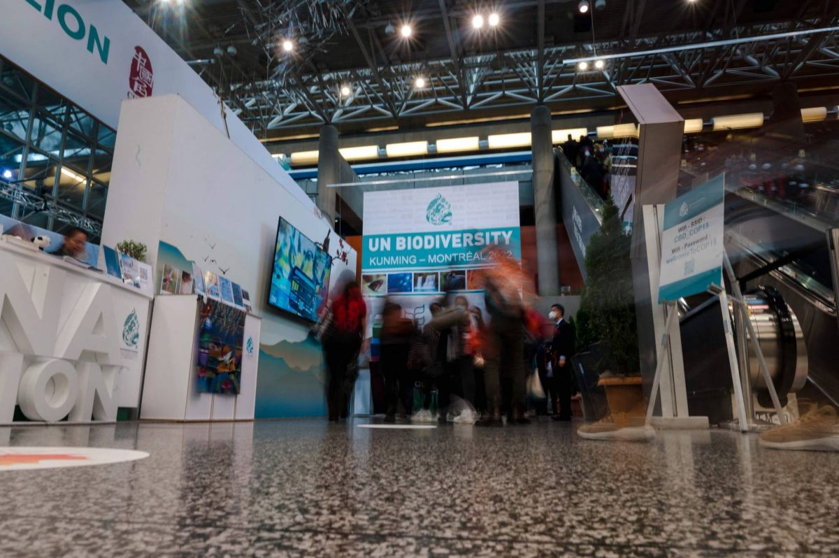 COP15 : place aux ministres pour sortir de l’impasse le « pacte pour la nature »