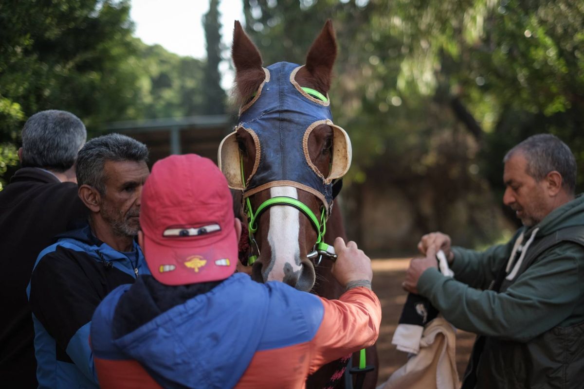 L’hippodrome de Beyrouth, livré à son sort et aux paris illégaux