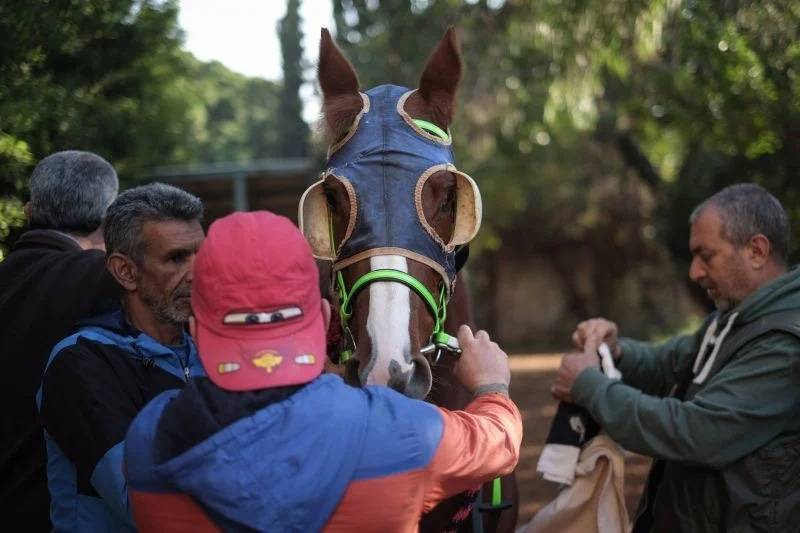Beirut’s hippodrome hangs in balance amid economic crisis and illegal betting