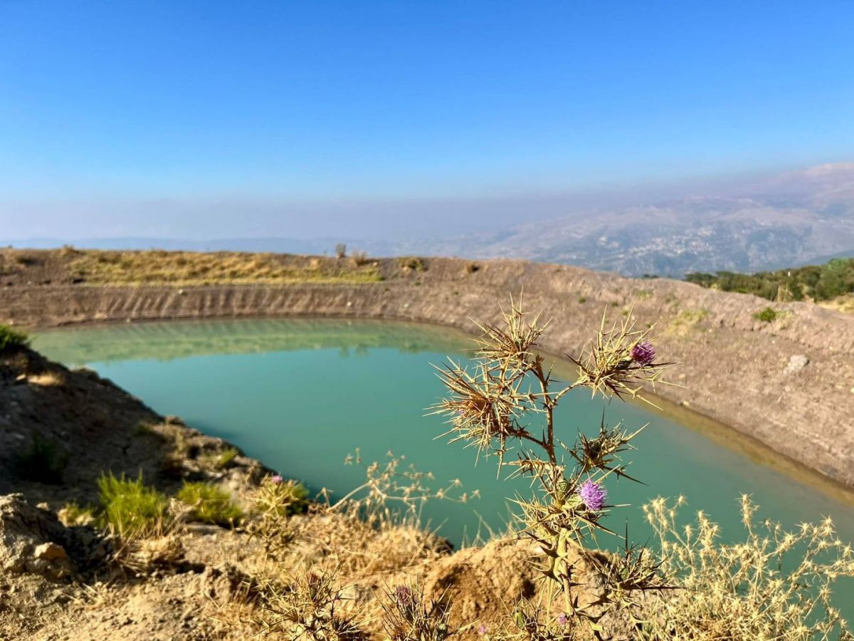 Missing boy found dead in Akkar pond