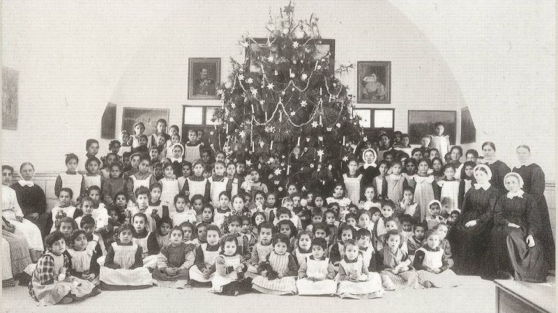 Where did Lebanon’s Christmas trees come from?