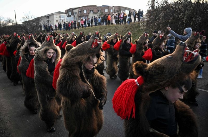 La parade des ours en Roumanie, nouvelle attraction touristique