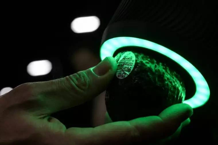 Scanner les avocats ou le cerveau... Les dernières innovations au salon de Las Vegas