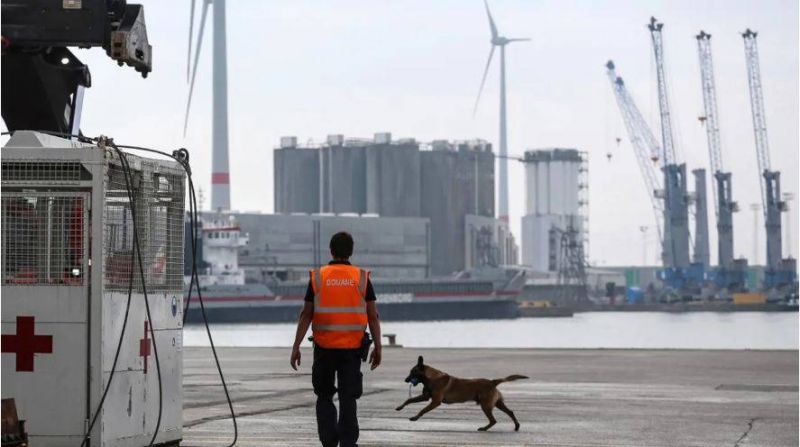 Près de 110 tonnes de cocaïne saisies en 2022 dans le port d'Anvers, nouveau record