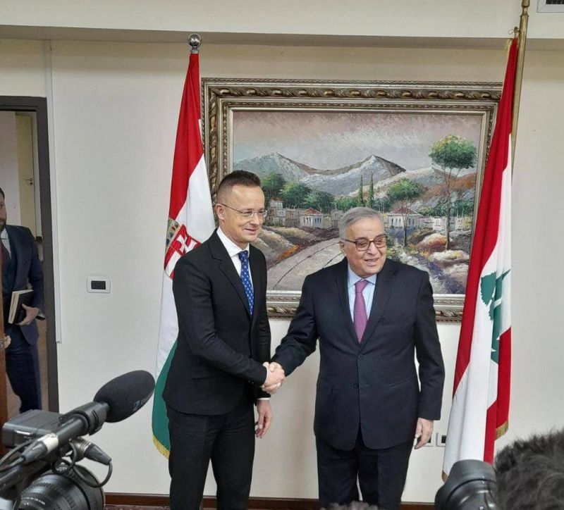 Bou Habib meets with Hungarian foreign affairs minister