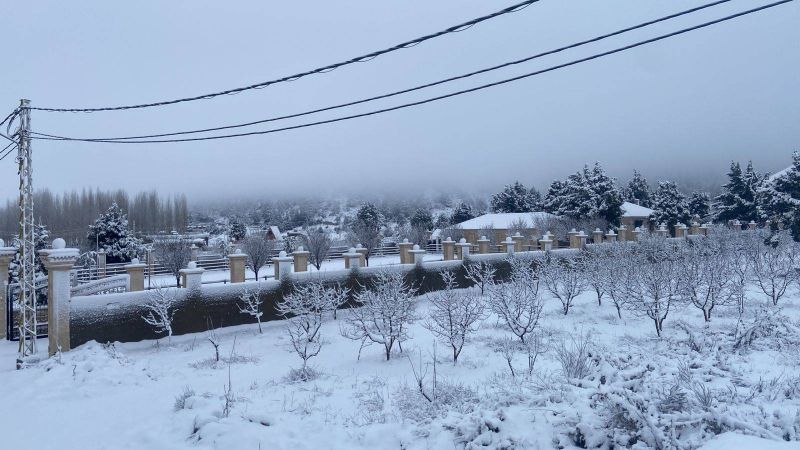 Chutes de neige, grêle, routes inondées : rude météo au Liban