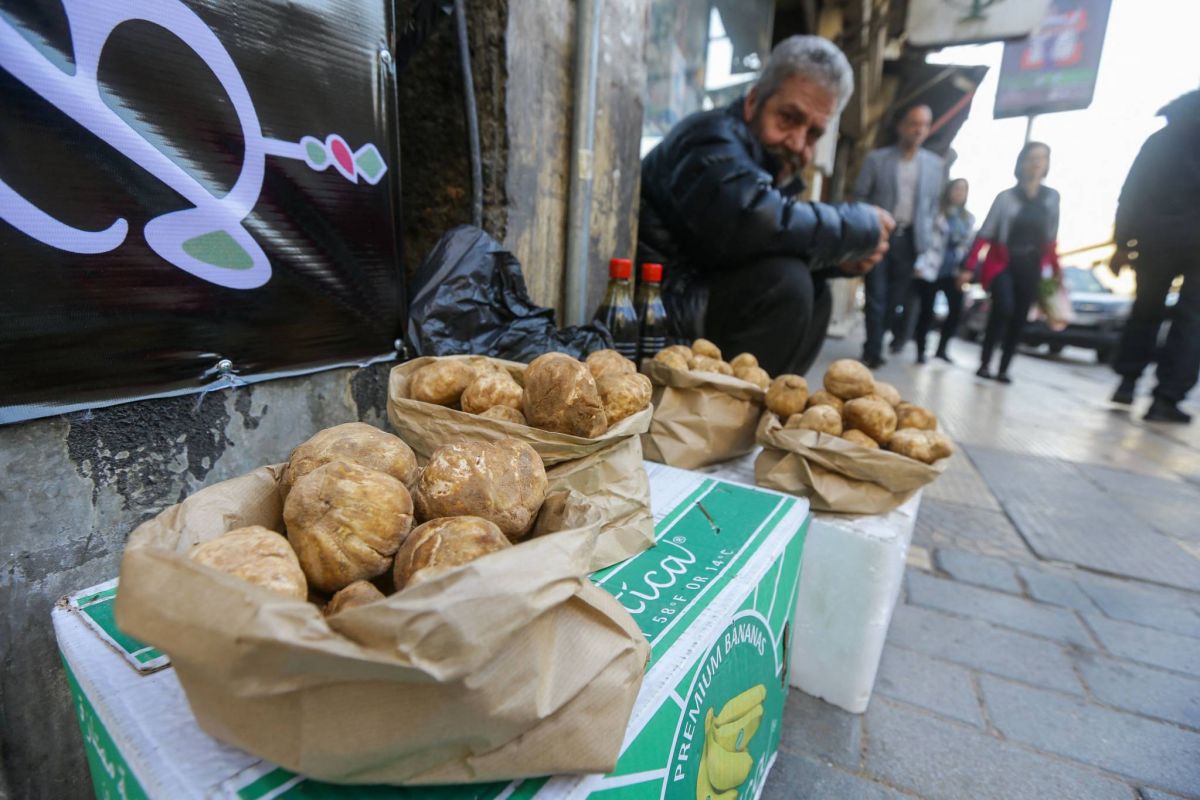 Huit personnes cueillant des truffes tuées par l'explosion d'une mine