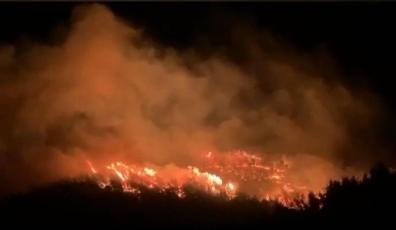 Un incendie de forêt repart au Liban-Nord