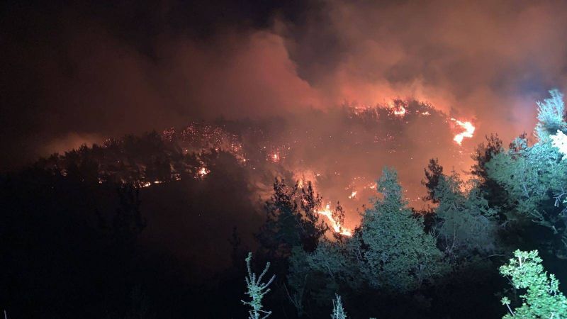 Un incendie de forêt sous contrôle dans le Nord