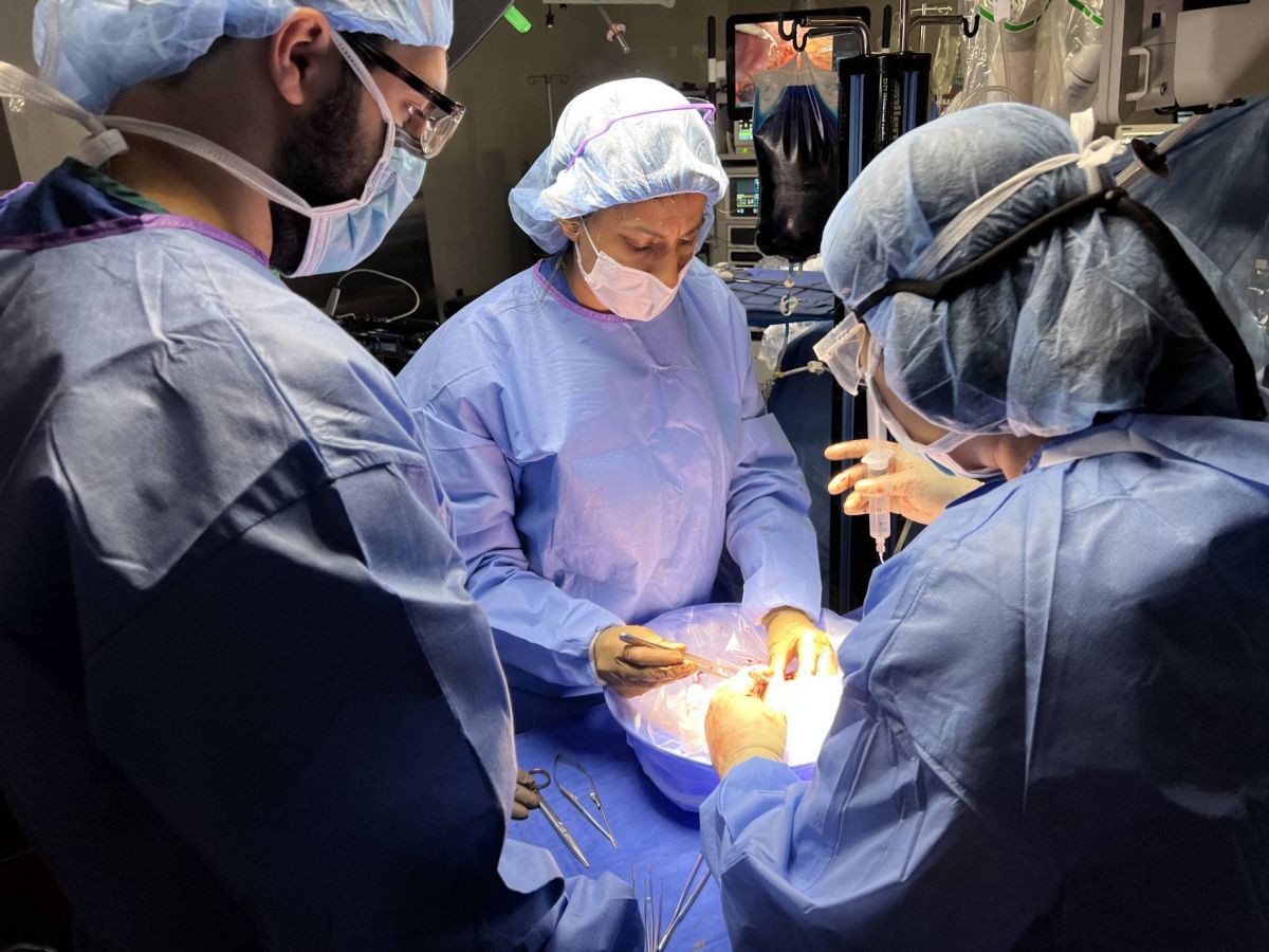 Autotransplantation rénale : une première à New York par un médecin libanais Autotransplantation rénale : une première à New York par un médecin libanais