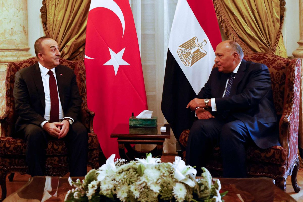 Erdogan and Egypt's Sisi to meet: Turkish minister Erdogan and Egypt's Sisi to meet: Turkish minister
