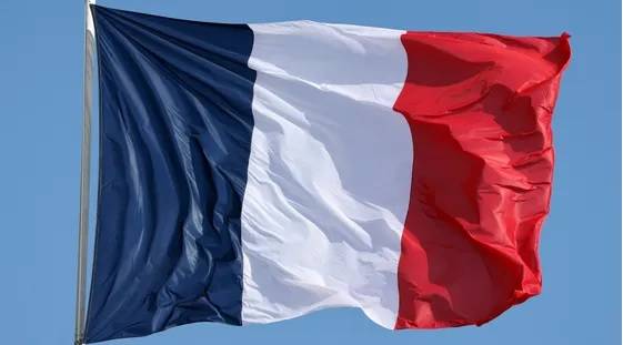Des jumeaux condamnés pour terrorisme déchus de la nationalité française
