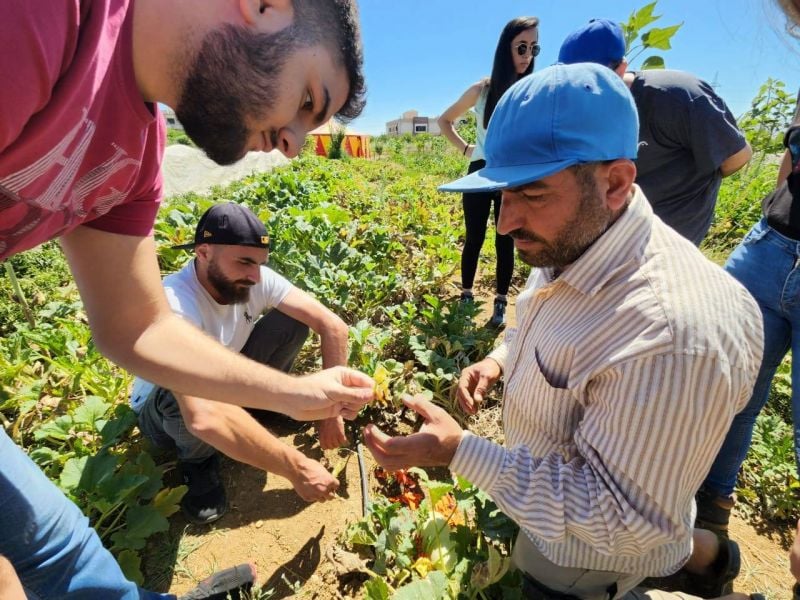 Ces jeunes d’une banlieue défavorisée de Beyrouth attirés par le travail de la terre