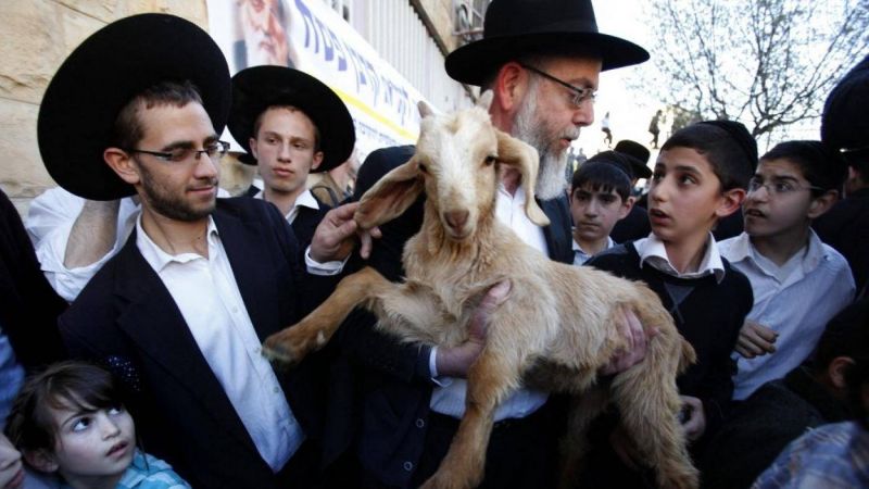 Un influent rabbin opposé au sacrifice de Pâque sur l'esplanade des Mosquées