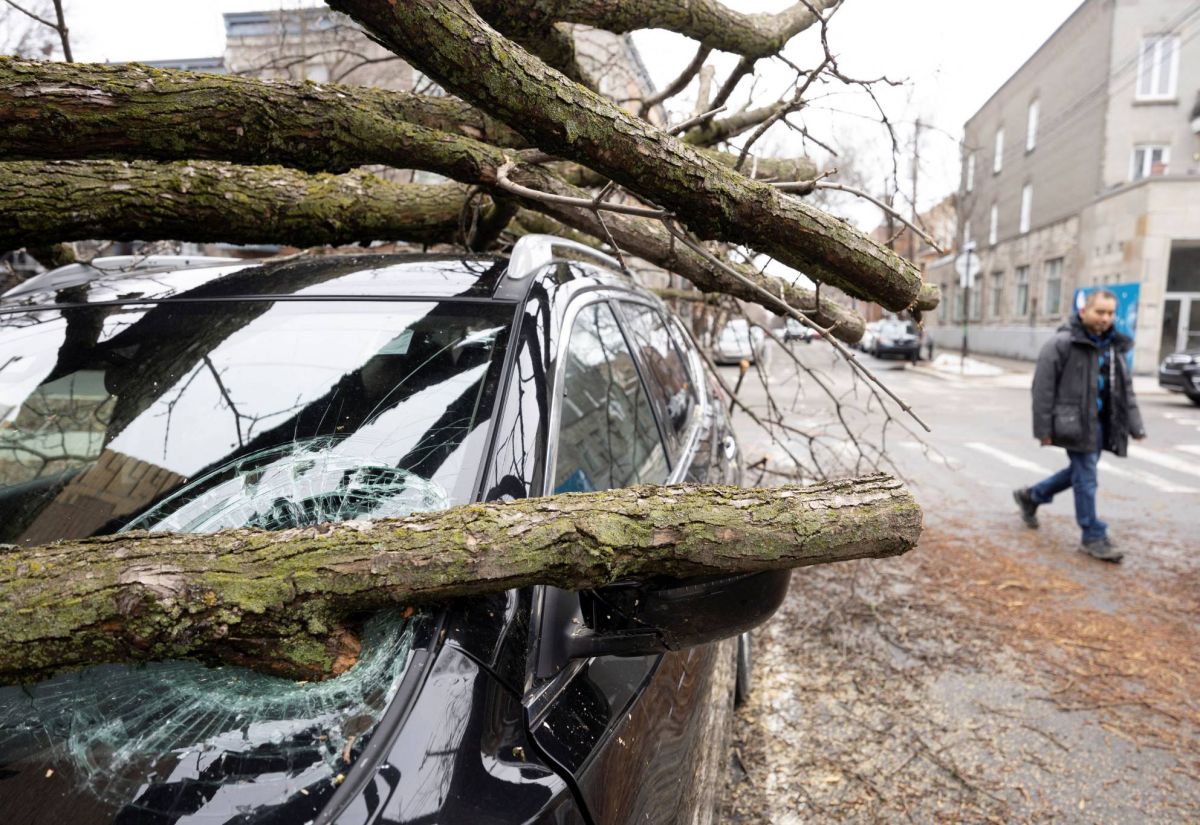 Tempête de glace : trois morts, des centaines de milliers de foyers toujours sans courant