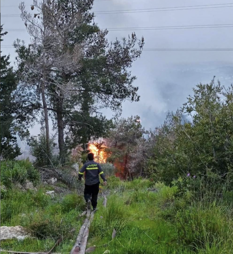 Un incendie de forêt en cours dans le Chouf