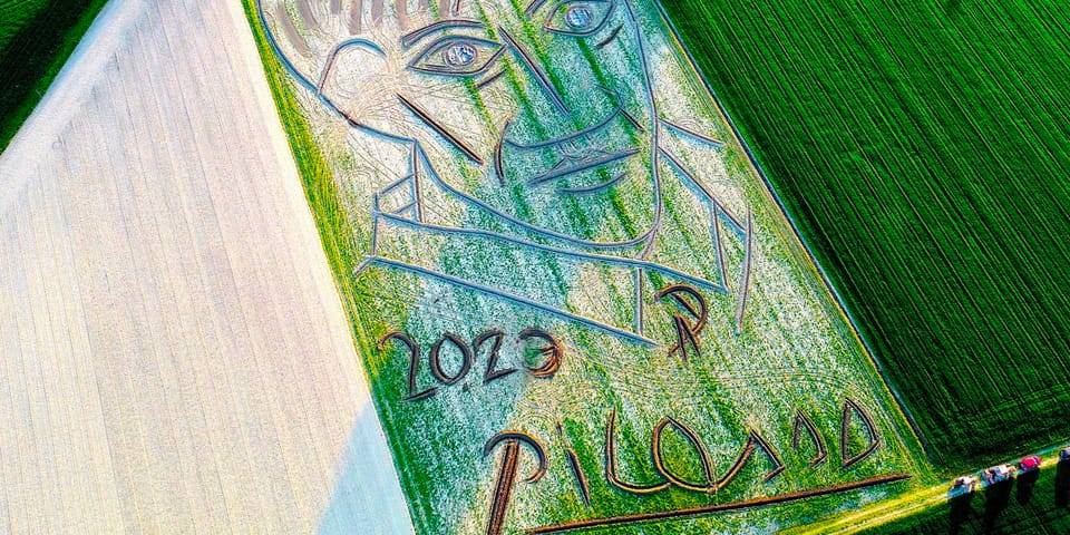 L’immense hommage de l’artiste agricole Dario Gambarin à Pablo Picasso
