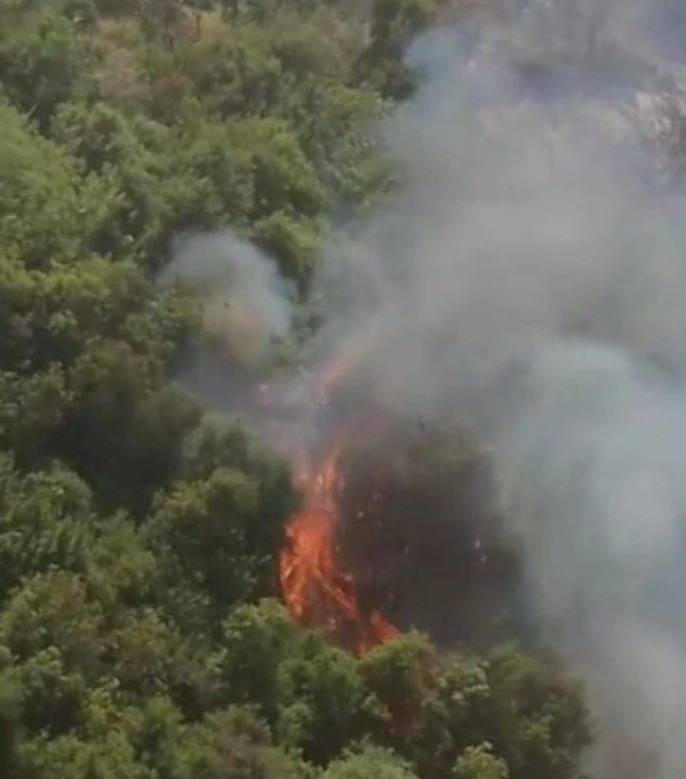 Un feu de forêt se déclare au Liban-Sud