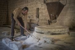 Ahmad hydro-milling flour in Hakkour, Akkar. (Credit: João Sousa)