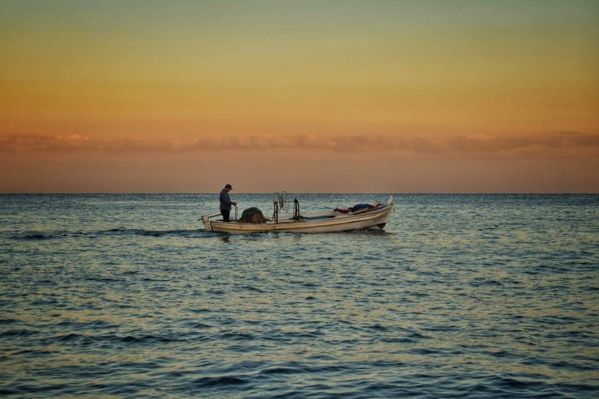 Rising sea-surface heat threatens Lebanon’s aquatic life Rising sea-surface heat threatens Lebanon’s aquatic life