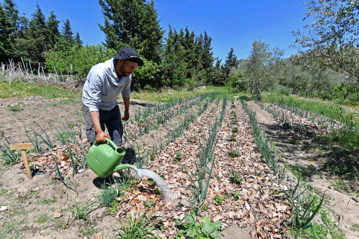En Tunisie, la permaculture s'épanouit face aux défis climatiques En Tunisie, la permaculture s'épanouit face aux défis climatiques