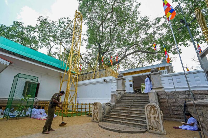 L’arbre le plus sacré du Sri Lanka, cible de fausses informations