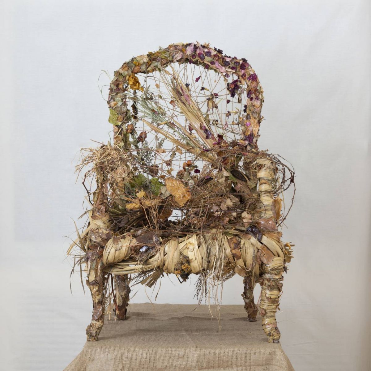 Rencontres intergénérationnelles et souffle nouveau à la galerie Janine Rubeiz