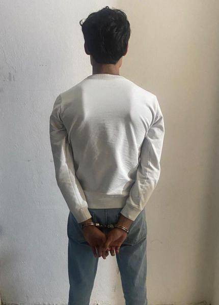 Un mineur arrêté dans le Sud après avoir torturé deux chiots