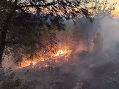 Fire extinguishing operations continue in Akkar as wildfire spreads