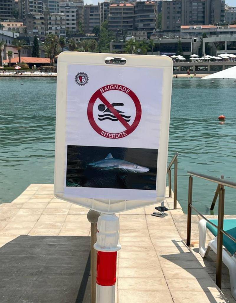 'Swimming prohibited': Is there really a shark off the coast of Kaslik's exclusive beach club? 'Swimming prohibited': Is there really a shark off the coast of Kaslik's exclusive beach club?