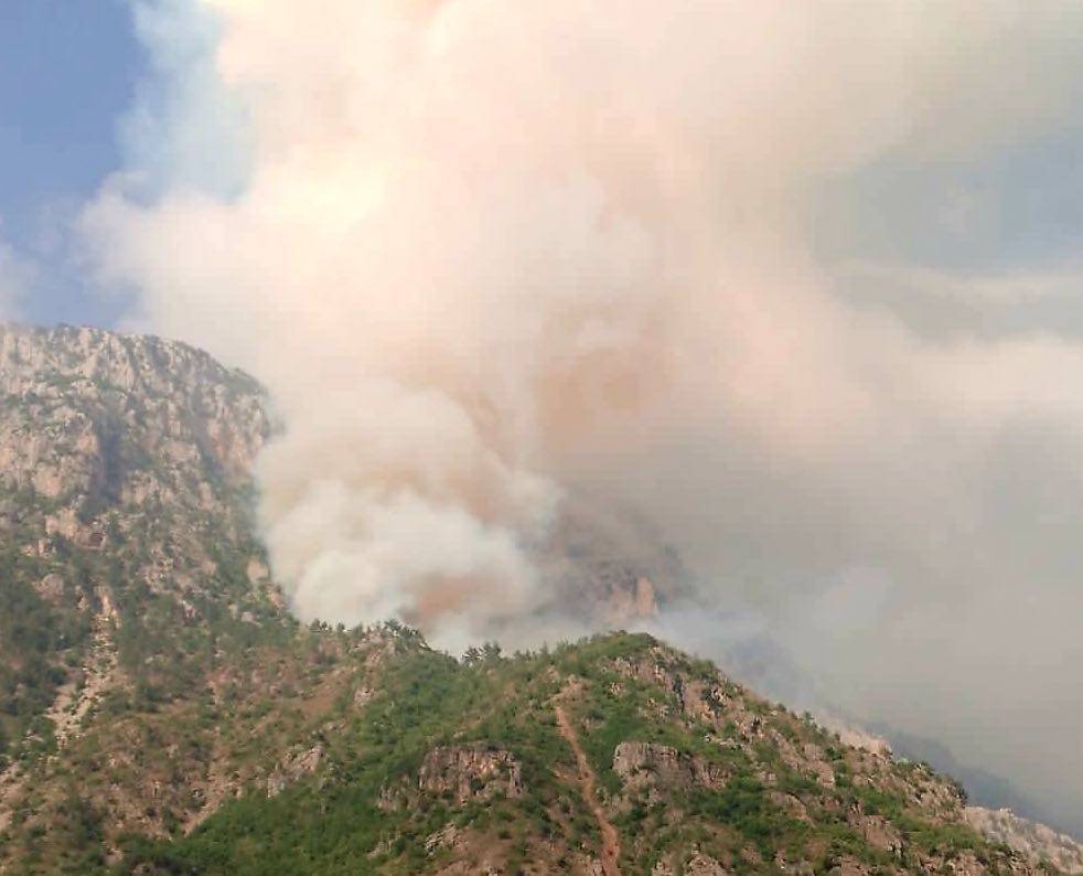 Fire ravages Akkar since Wednesday evening Fire ravages Akkar since Wednesday evening