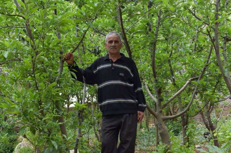 Akkar farmers see climate change affect their crops